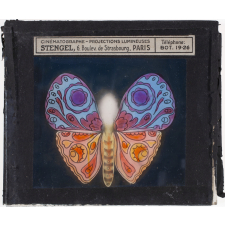 Papillon : Mauve