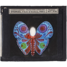 Papillon : Bleu