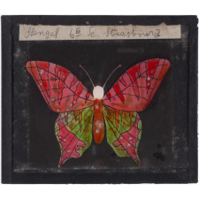 Papillon : Rose et vert