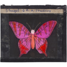 Papillon : Mauve et rouge