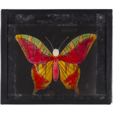 Papillon : Jaune et rouge