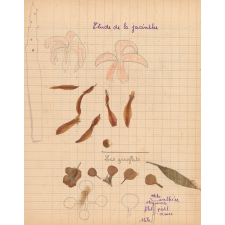 Cahier d'observations