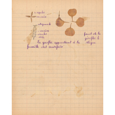 Cahier d'observations