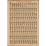 Planche N° 305 : Voltigeurs de la vieille garde : 1810