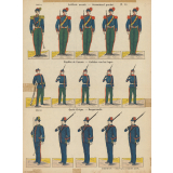 Planche N°16 : Artillerie montée : Pupilles de l'armée : Garde civique
