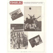 École Supérieure d'Ingénieurs en Génie électrique (ESIGELEC).