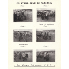 Au jeune soleil. La ronde des fleurs printanières. .