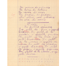 Cahier journalier