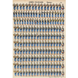 Planche N° 254 : Armée française : Chasseurs