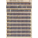 Planche N° 259 : Armée française : Régiment d'artillerie
