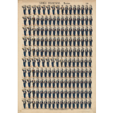 Planche N° 345 : armée française : marins