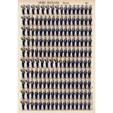 Planche N° 345 : armée française : marins