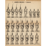 Planche N° 58 : Armée belge : Infanterie