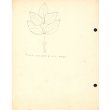Sciences naturelles