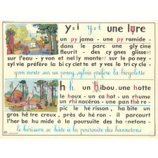 Tableau mural. Rémi et Aline. Niveau 2. N°19 : y = i / N°20 : k = q = c.
