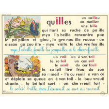 Tableau mural. Rémi et Aline. Niveau 2. N°23 : ill, ail, eil, euil / N°24 : y =ii.