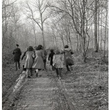 Ecole Freinet, classe promenade : dix élèves, garçons et filles, déambulent sur un chemin forestier.