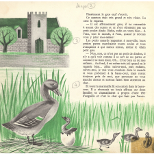 Les contes d'Andersen. 3, Le vilain petit canard