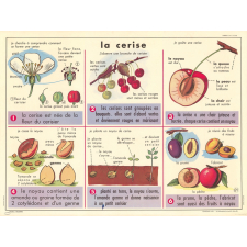 Tableaux de sciences. Lecons de choses. N°43 : Le coquelicot / N°44 : La cerise.