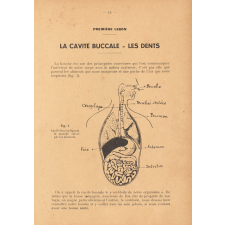 Manuel pour l'enseignement de l'hygiène dentaire à l'école primaire en dix leçons