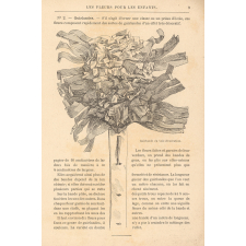 Cours de travail manuel pour les écoles. Deuxième partie, les fleurs