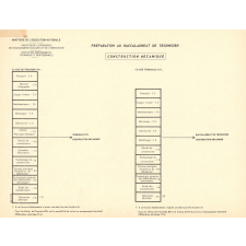 Structure des classes de première et terminale préparatoires aux divers baccalauréats de technicien. 