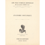 Anatomie botanique : pois de senteur