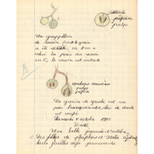Cahier journalier