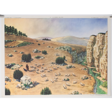 Tableau mural. 15 : le plateau calcaire. 16 : le terrain granitique.