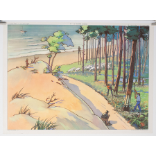 Tableau mural. 17 : le terrain argileux. 18 : le terrain sableux. 