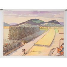Tableau mural. 19 : le terrain limoneux. 20 : la plaine.