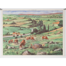 Tableau mural. 23 : le glacier. 24 : la montagne usée. 