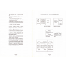 Structure et fonctionnement. Les établissements d'enseignement supérieur. Guide pratique.