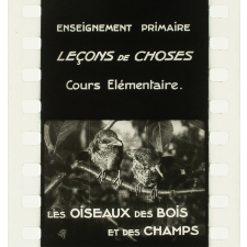 Les Oiseaux des bois et des champs.