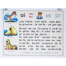 Tableau mural. Rémi et Aline. Niveau 1. N°15 : g / N°16 : j.