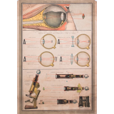 Optique II : Œil, instruments d'optique
