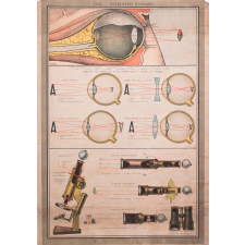 Optique II : Œil, instruments d'optique