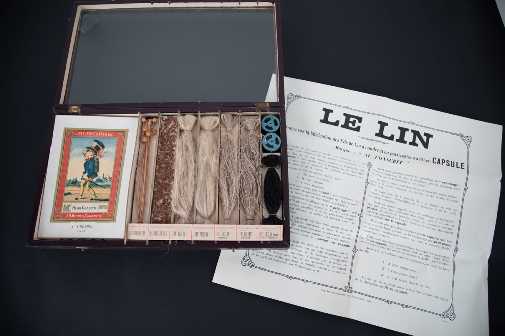 Le lin