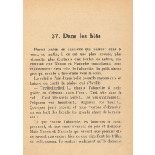 Nanou et Nanoche découvrent le monde : livre de lecture courante : cours élémentaire