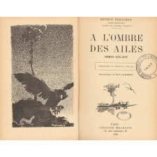 A l'ombre des ailes : roman scolaire : cours moyen : préparation au Certificat d'études