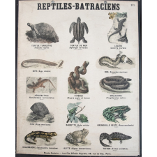 Reptiles-Batraciens : 205