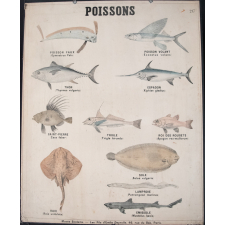 Poissons : 217
