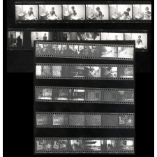 Exposition Michel de Montaigne