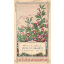 Belladone : témoignage de satisfaction