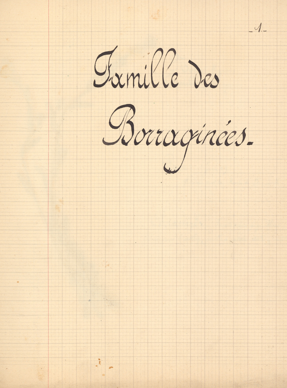 Herbier