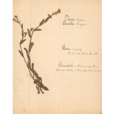 Herbier