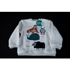 Aujourd'hui en Obaïbi : sweat garçon