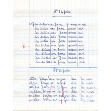 Corrections de dictées