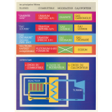 Tableau mural. L'uranium : les principales filières.