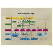 Tableau mural. Schéma energétique.